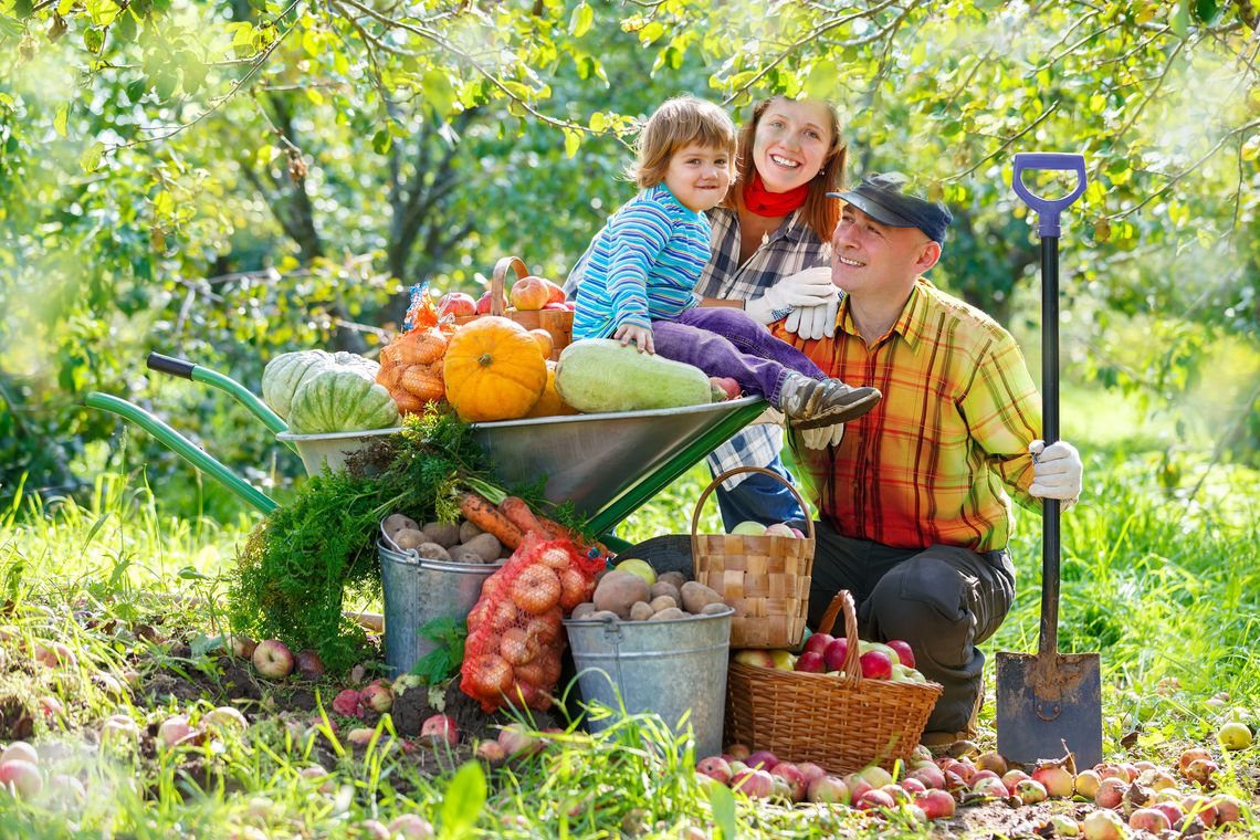 Światowy Dzień Owoców i Warzyw! – świętuj codziennie