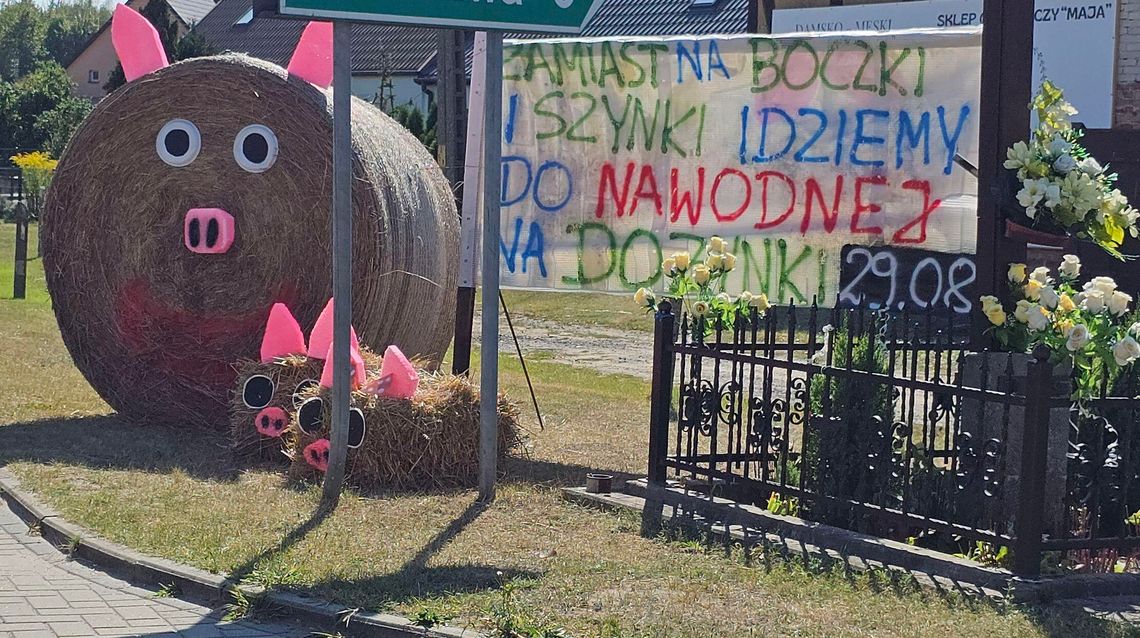 Święto plonów i największa impreza w gminie Chojna, Serce tradycji bije w największej wsi