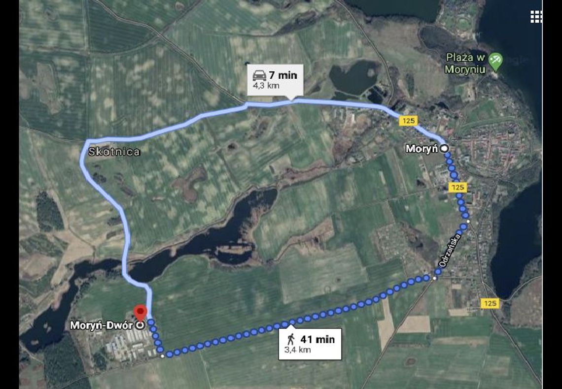 Świniarnia tuż pod miastem? - list czytelnika Świniarnia tuż pod miastem? - list czytelnika