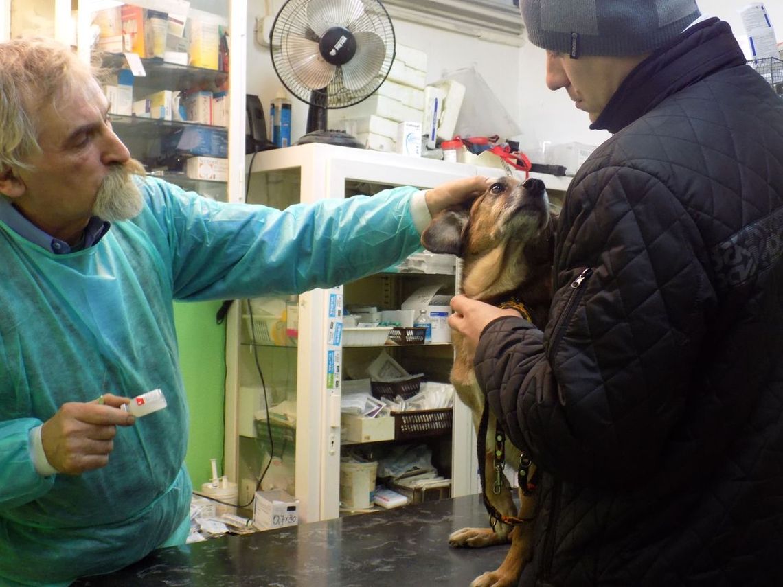 Sylwestrowy trudny czas dla milusińskich Sylwestrowy trudny czas dla milusińskich