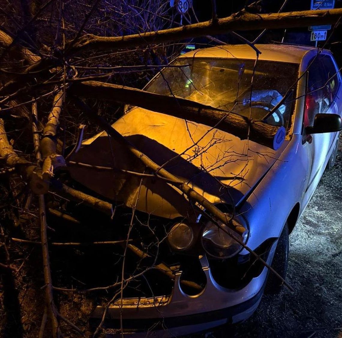 Szaleńczy pościg, perfidny fortel i finał w gęstych zaroślach. Nocny horror w Gryfinie