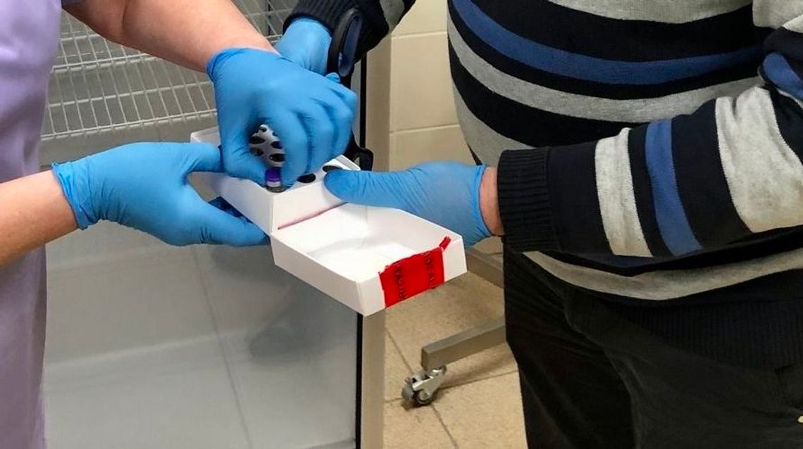 Szczepienia nauczycieli. U dyrektora swojej szkoły nauczyciel zgłosi chęć zaszczepienia się Szczepienia nauczycieli. U dyrektora swojej szkoły nauczyciel zgłosi chęć zaszczepienia się