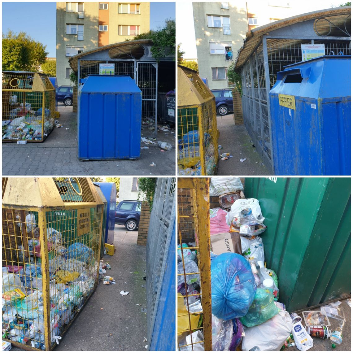 Szczury - list z Gryfina Szczury - list z Gryfina