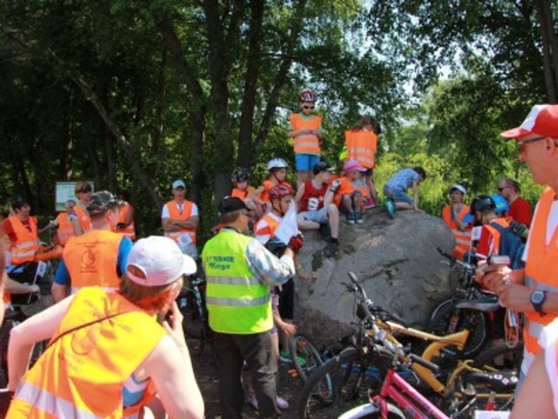 Szkielet mamuta, kolekcja skał i podchody