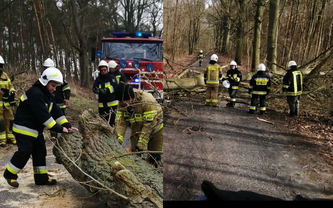 Sztandar dla OSP Goszków