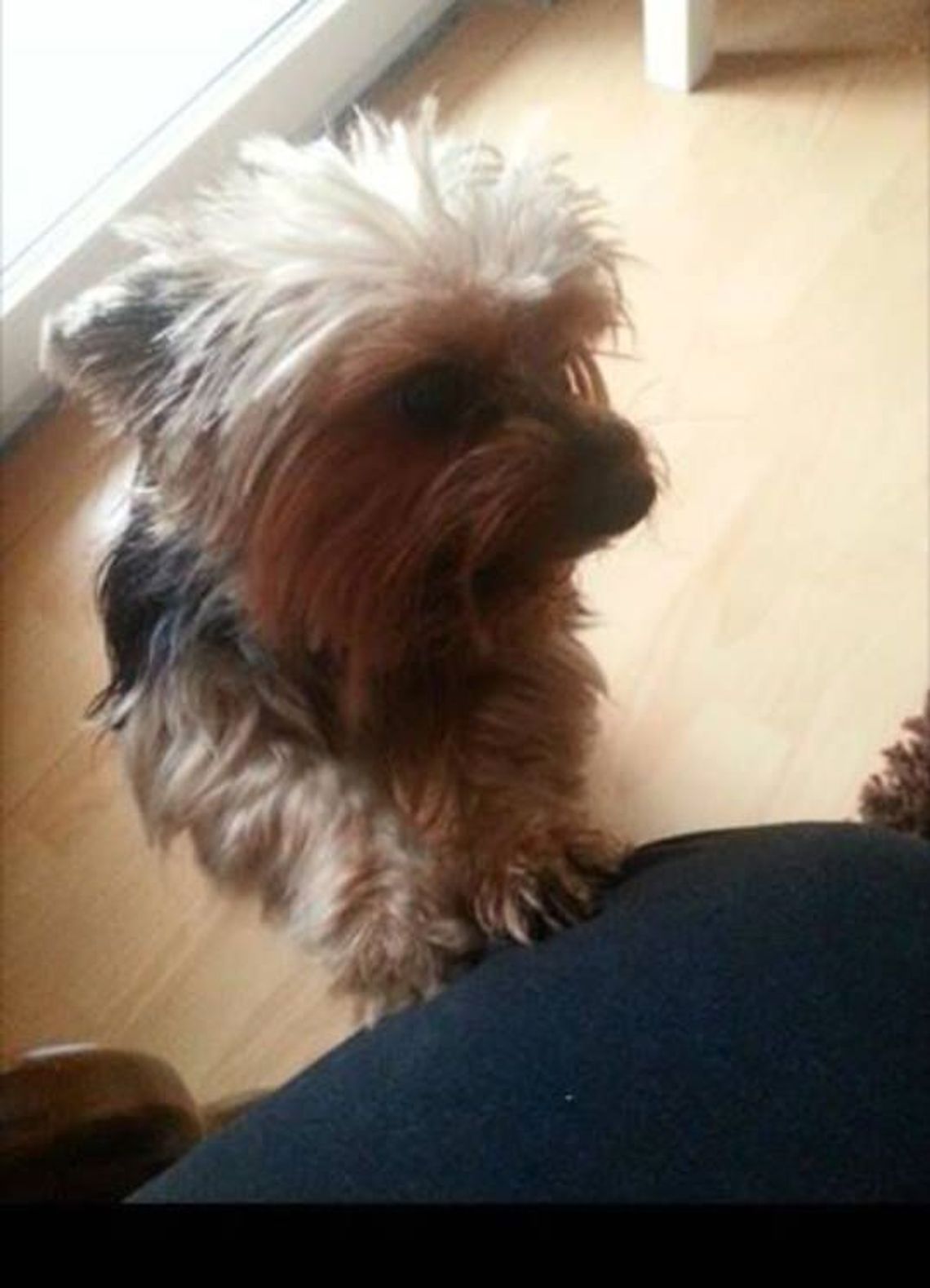 Szukają Leny. Wyznaczono nagrodę Szukają Leny. Wyznaczono nagrodę