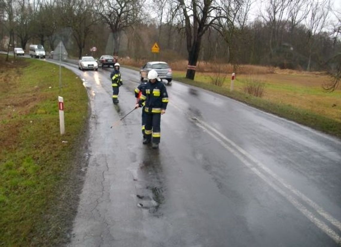 Szukali dwóch jedenastoletnich chłopców