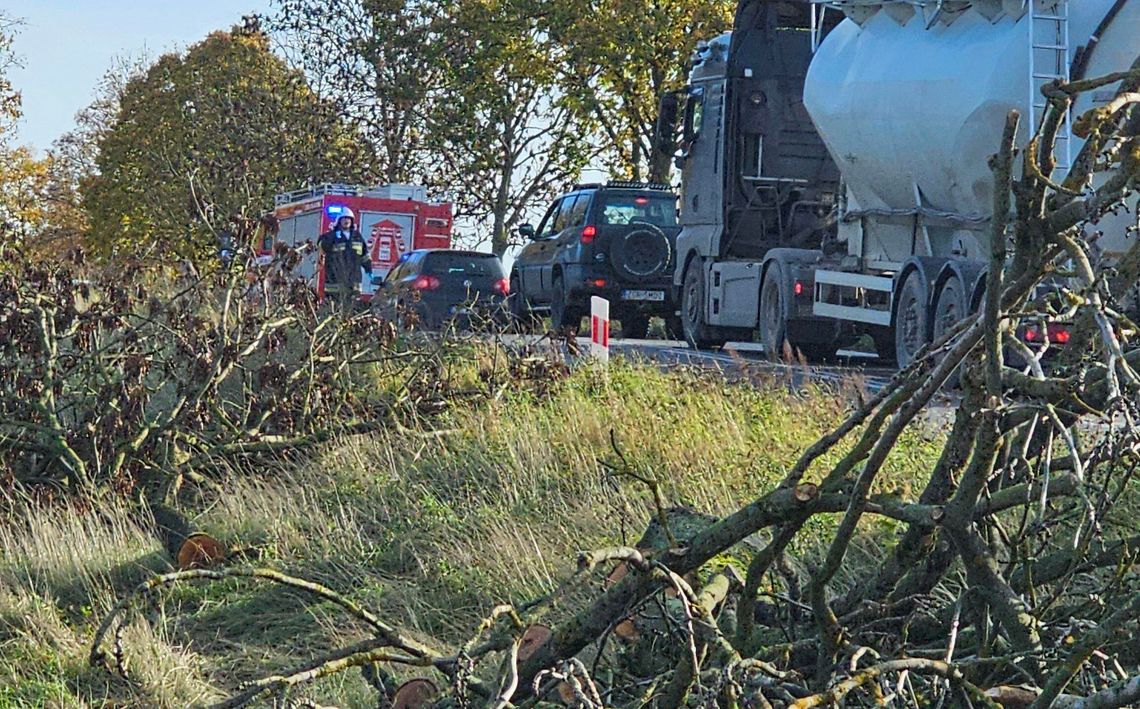 Szybki przyjazd, bo są pierwszym i najważniejszym ogniwem w łańcuchu bezpieczeństwa Szybki przyjazd, bo są pierwszym i najważniejszym ogniwem w łańcuchu bezpieczeństwa