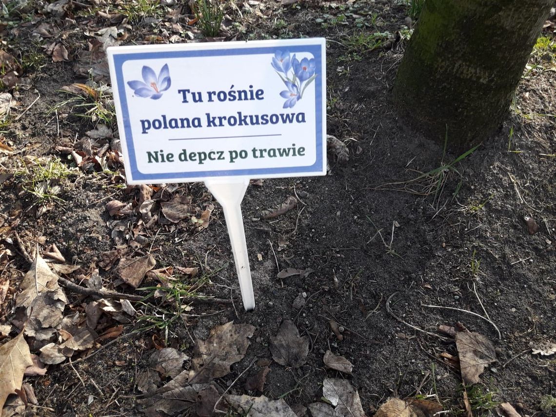 Tabliczki z błędami w parku Tabliczki z błędami w parku