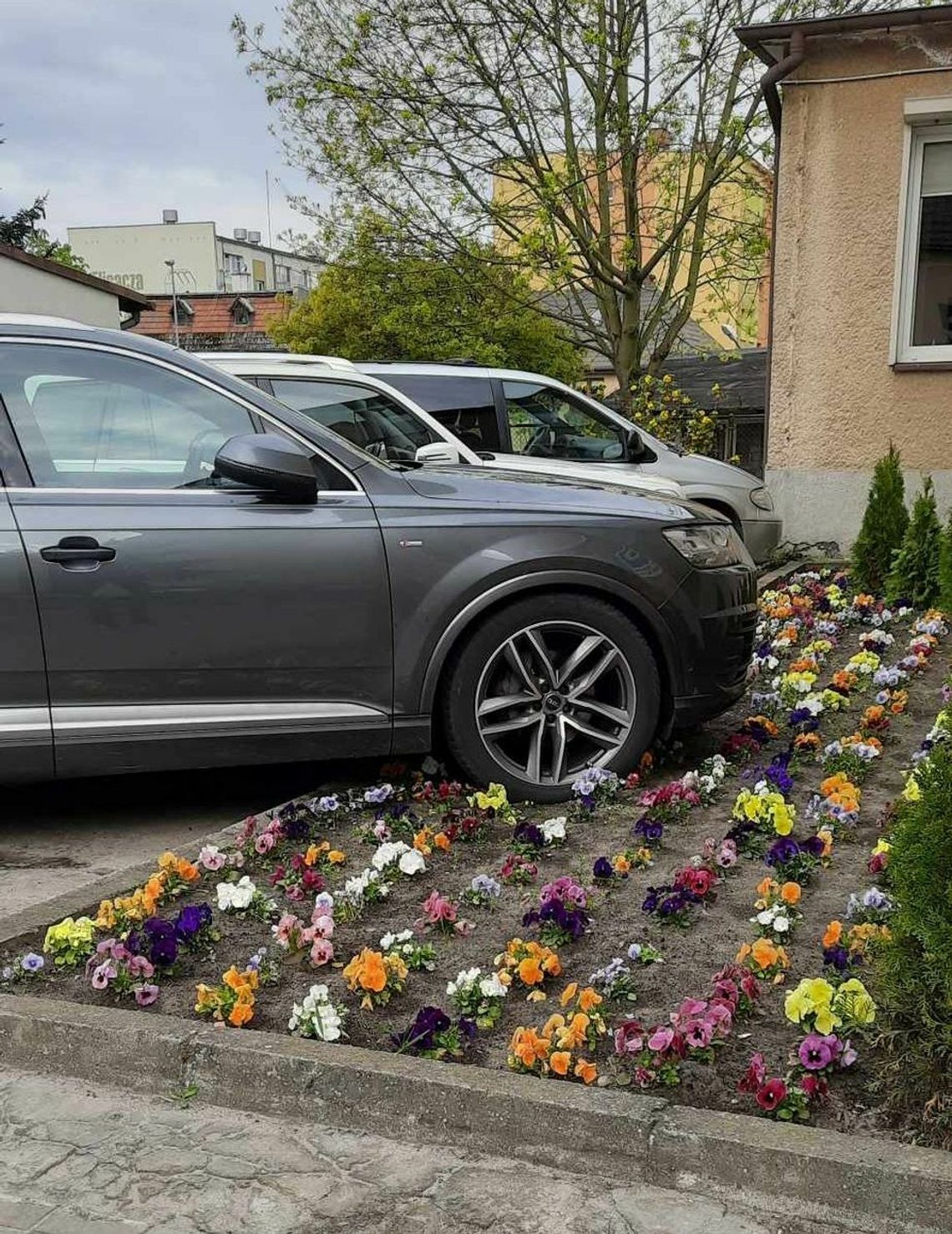 Tak dbają o kwiatki Tak dbają o kwiatki