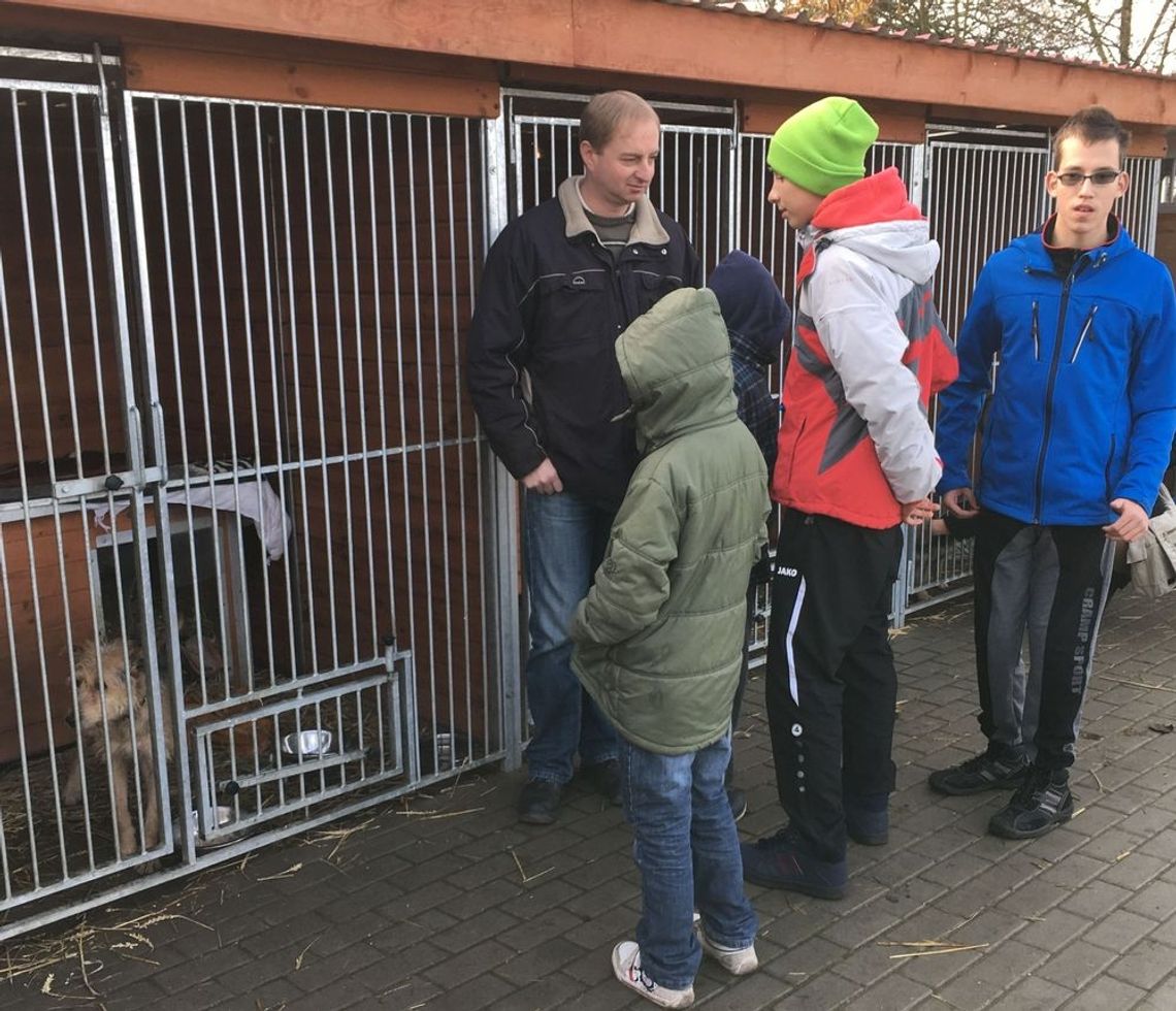 Tak pomagają bezdomnym zwierzętom w gryfińskim Kojcu Tak pomagają bezdomnym zwierzętom w gryfińskim Kojcu