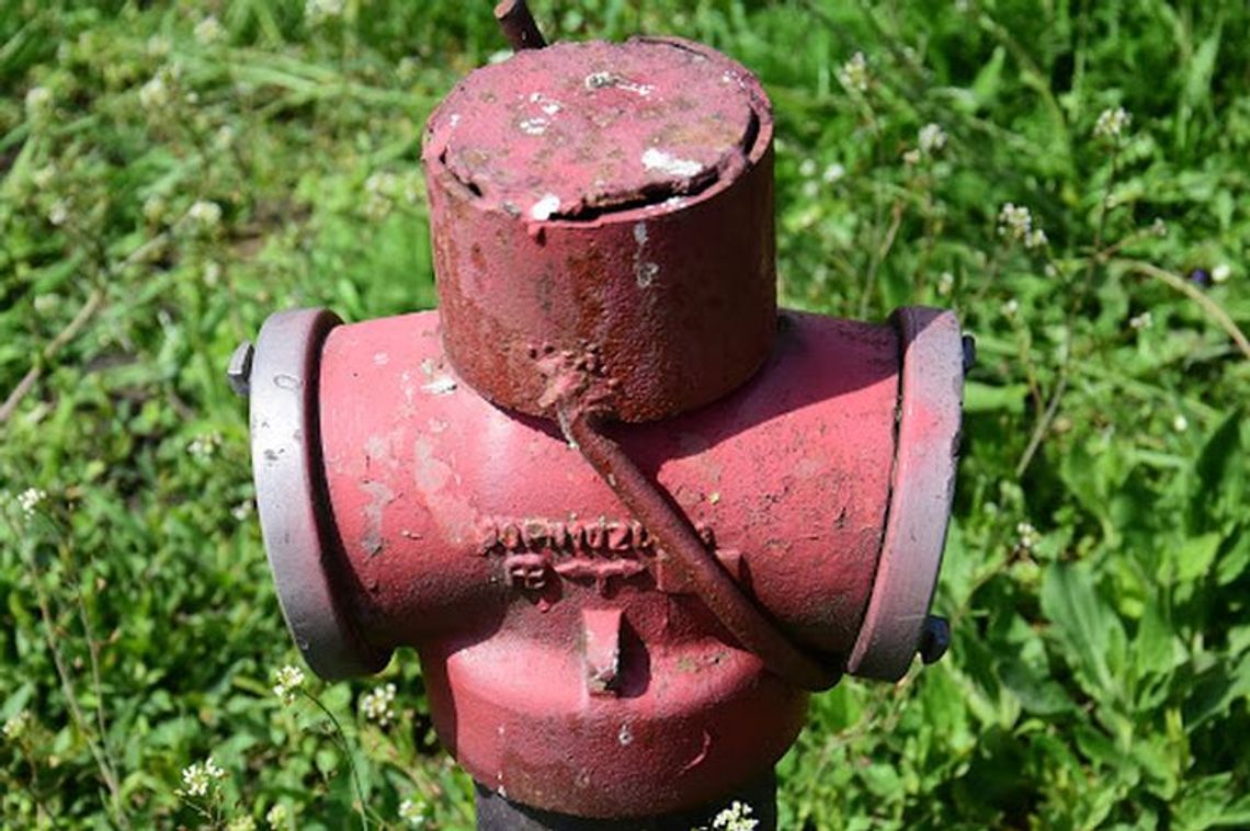 Tak wygląda ekologiczne podlewanie ogródków Tak wygląda ekologiczne podlewanie ogródków