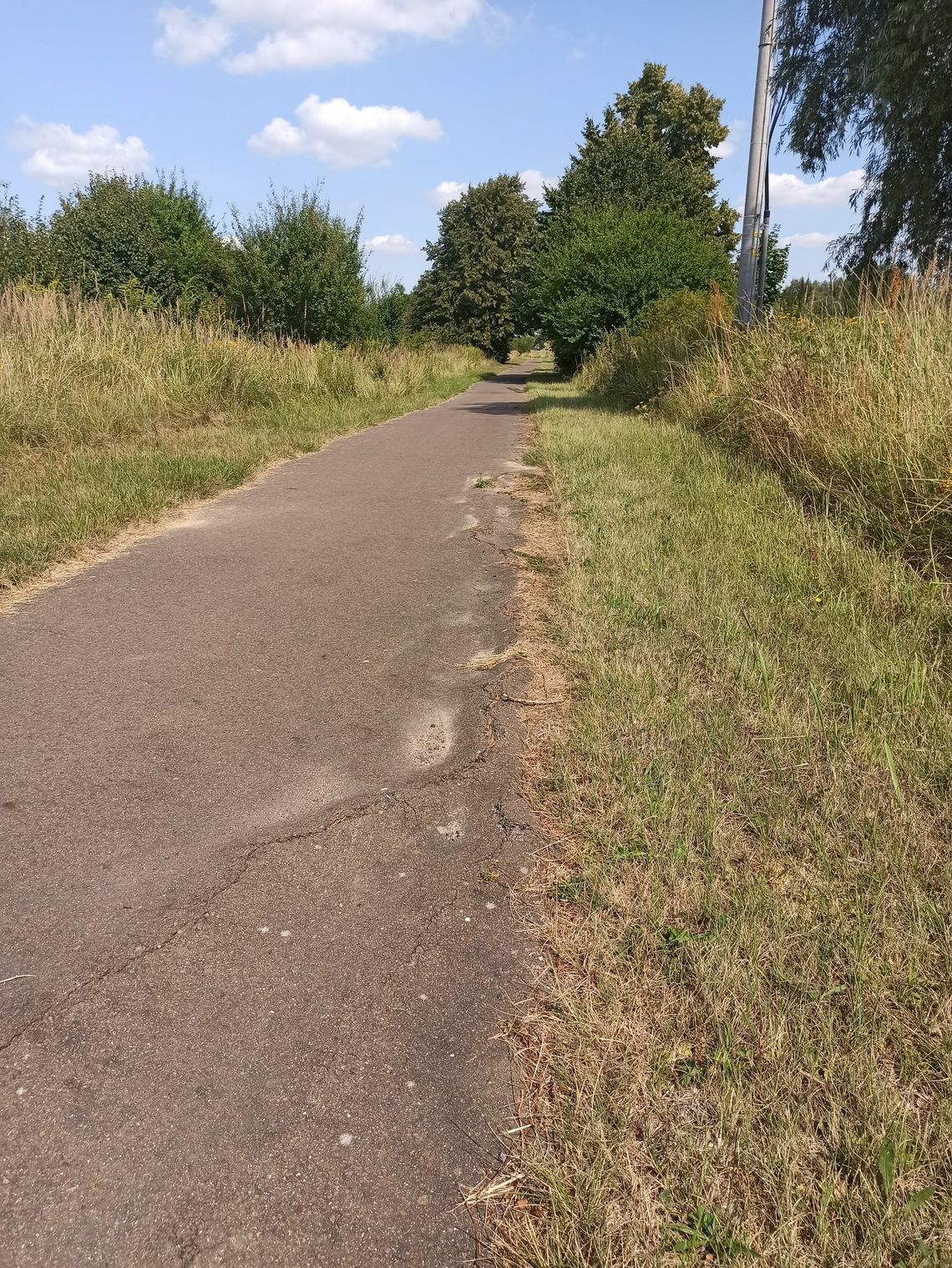 Tak wygląda zaniedbana ścieżka rowerowa Tak wygląda zaniedbana ścieżka rowerowa