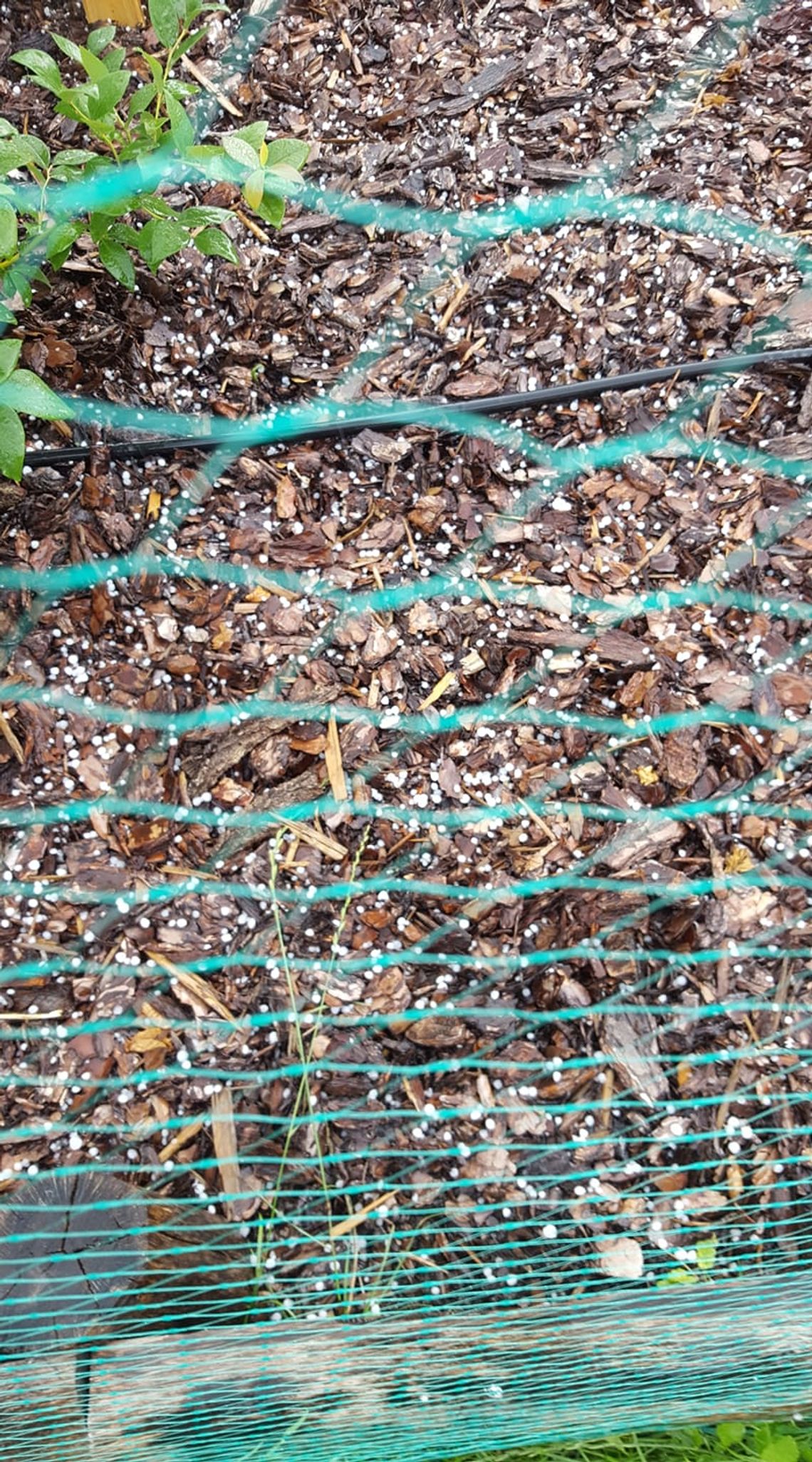 Taki grad dziś padał Taki grad dziś padał