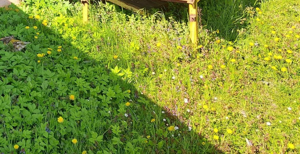 Taki spacer może być zagrożeniem - uważa czytelnik