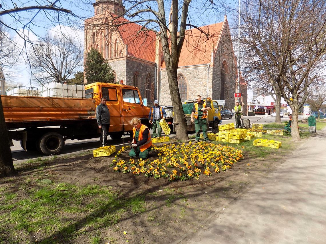 Taki widok cieszy każdego Taki widok cieszy każdego