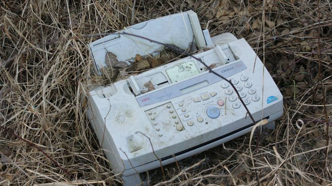 Takie rzeczy można znaleźć między Gryfinem a Żórawkami Takie rzeczy można znaleźć między Gryfinem a Żórawkami