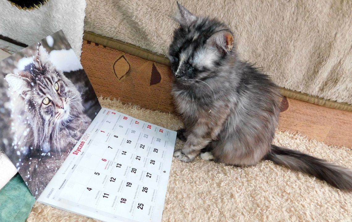 Tamara Szymańska: Dziękuję za uratowanie życia i okazaną pomoc Tamara Szymańska: Dziękuję za uratowanie życia i okazaną pomoc