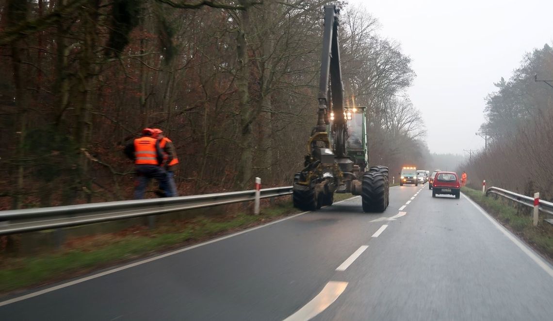 Tną i nie patrzą Tną i nie patrzą