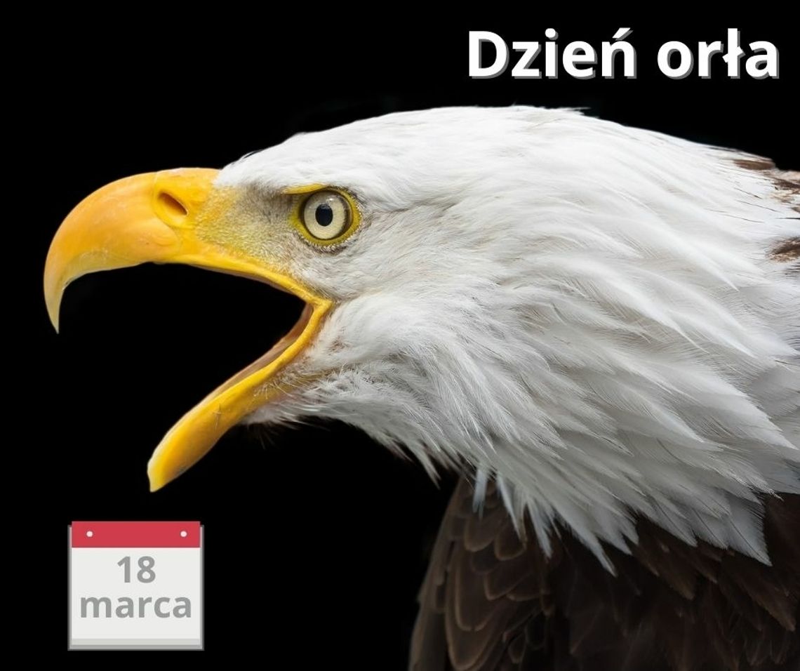 To nie tylko symbol. Mamy zagadkę