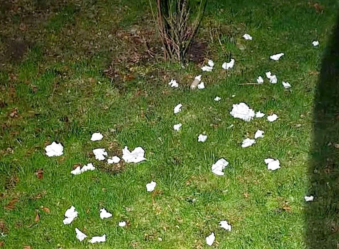 „To obrzydliwe i uciążliwe”. Śmieciowy problem przy bloku w Gryfinie