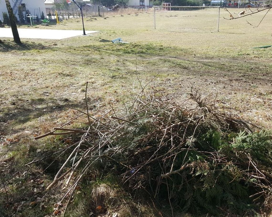 To tylko biomasa - odpowiada czytelnik na list o wyrzucaniu odpadów To tylko biomasa - odpowiada czytelnik na list o wyrzucaniu odpadów