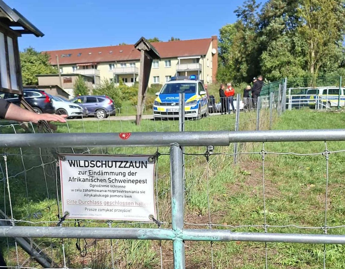 Tragiczny finał poszukiwań 44-letniej gryfinianki