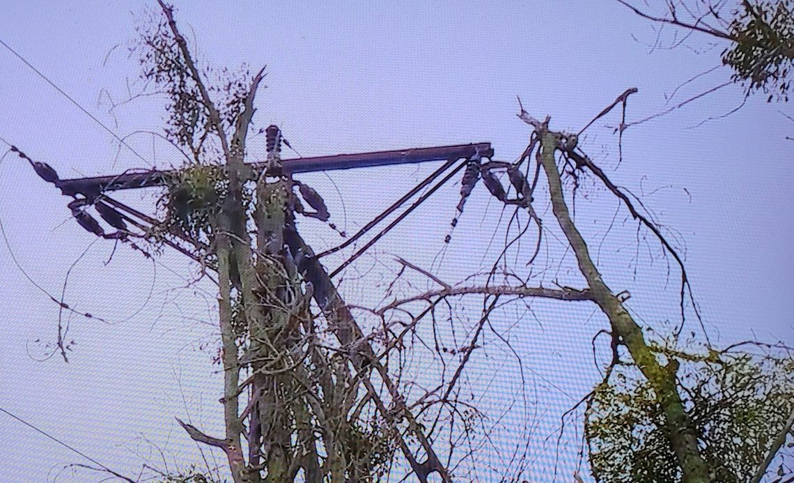 Trasa kolejowa Gryfino - Chojna zablokowana. Połamane drzewa i słupy, nie kursują pociągi Trasa kolejowa Gryfino - Chojna zablokowana. Połamane drzewa i słupy, nie kursują pociągi