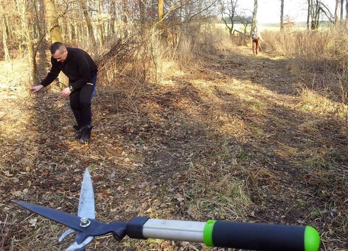 Trasa rowerowa powstaje pod Chojną