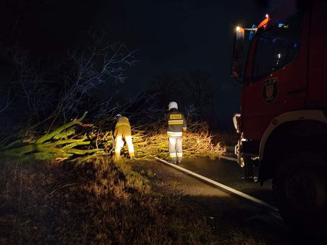 Trudne warunki na drogach. Kierowcy, noga z gazu!