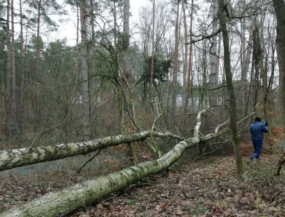Tutaj ścieżka rowerowa jest nieprzejezdna Tutaj ścieżka rowerowa jest nieprzejezdna