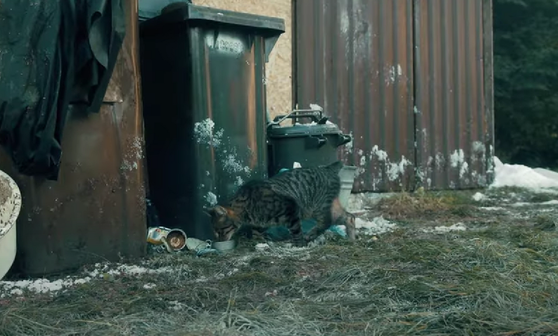 Twój mały gest ma moc ratowania życia. Podaj pomocną dłoń! Twój mały gest ma moc ratowania życia. Podaj pomocną dłoń!