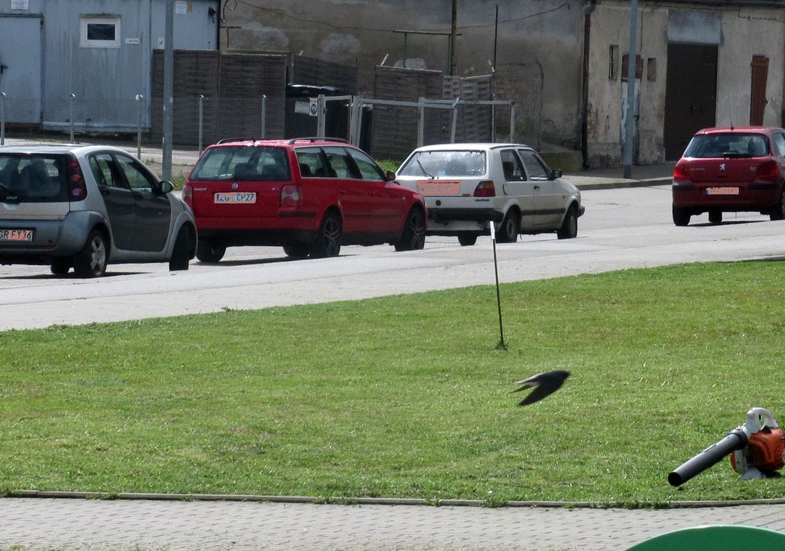 Tygodniami siedział w domu. Nagle wyjechał i… jego zwłoki wyłowiono z rzeki