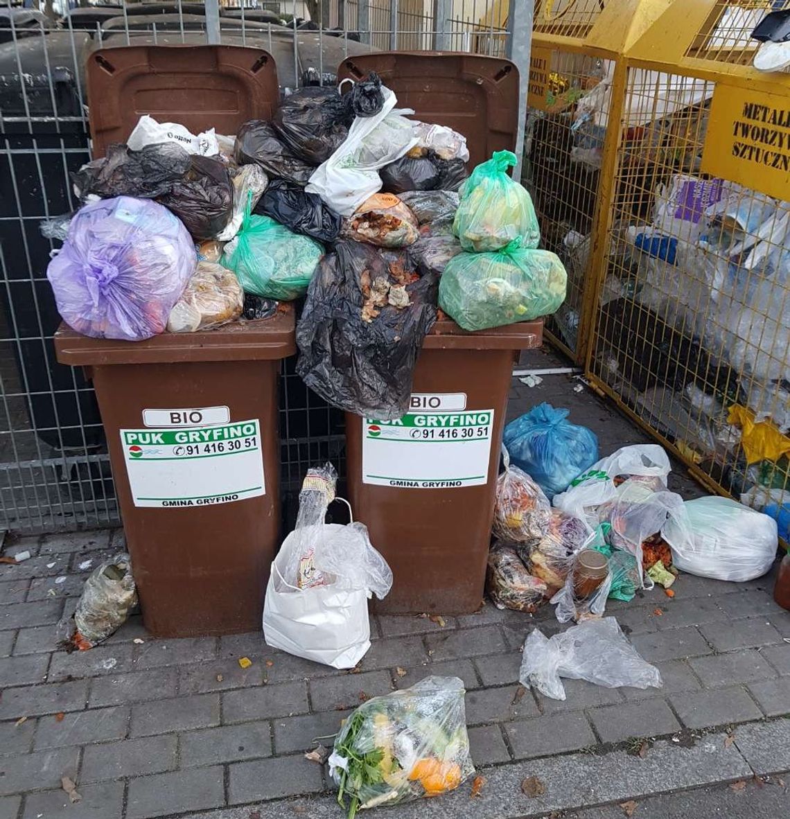 Tylko czekać, jak szczury znowu opanują blokowiska - list czytelnika Tylko czekać, jak szczury znowu opanują blokowiska - list czytelnika