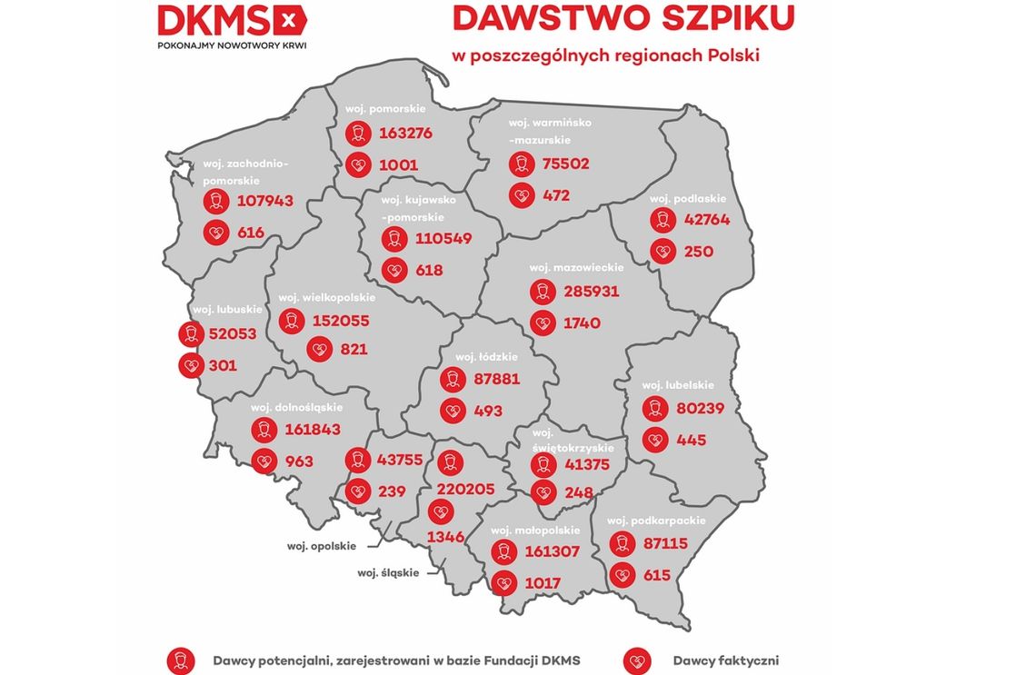 Tysiące dołączyło do bazy potencjalnych dawców szpiku. Fundacja DKMS podsumowała 2022 rok