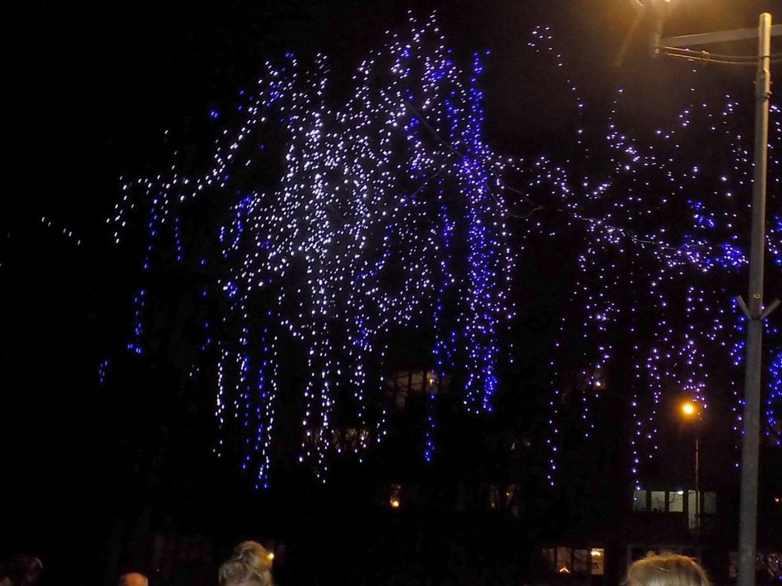 Ubogi wystrój świąteczny Gryfina Ubogi wystrój świąteczny Gryfina