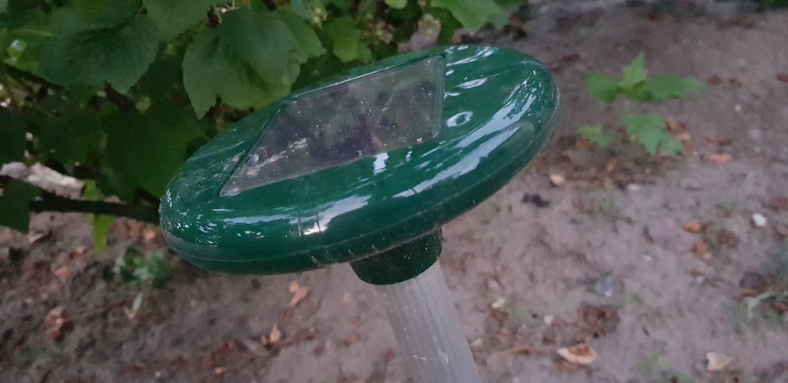 Uciążliwy dźwięk rozlega się co chwilę - skarży się czytelniczka