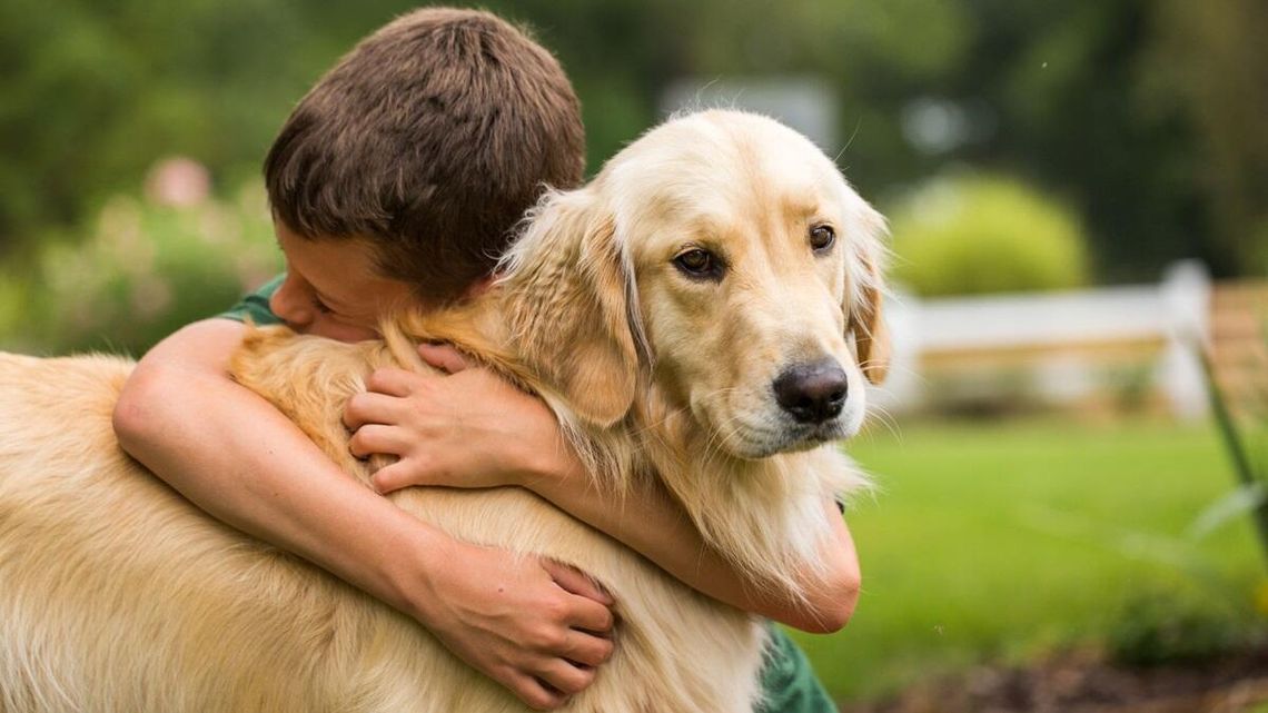 W szkołach będzie nowy przedmiot. Uczniowie uczyć się będą miłości do zwierząt