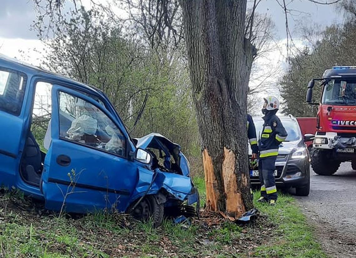 Uderzył autem w drzewo, chcąc ominąć zwierzę Uderzył autem w drzewo, chcąc ominąć zwierzę
