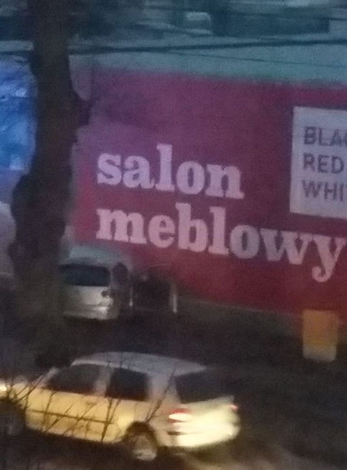 Uderzył w drzewo. Utrudnienia w ruchu w Gryfinie Uderzył w drzewo. Utrudnienia w ruchu w Gryfinie