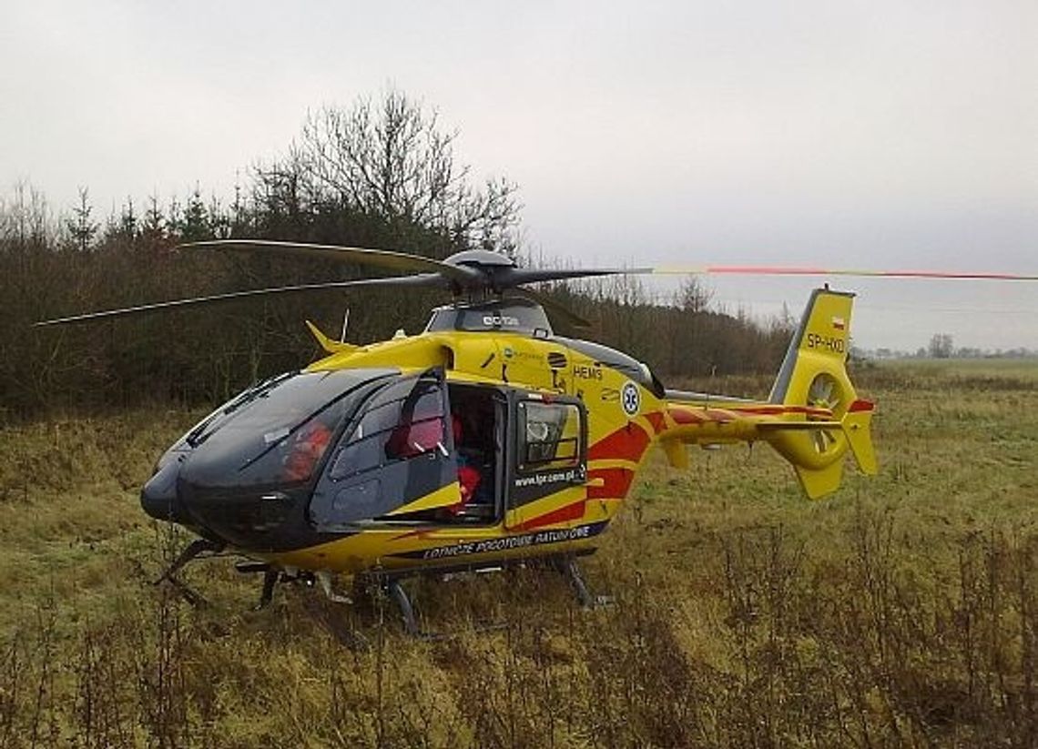 Uderzył w dzika i wpadł na drzewo Uderzył w dzika i wpadł na drzewo