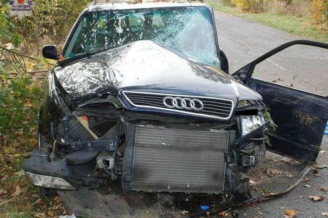 Uderzyła w drzewo. Ranni trafili do szpitala