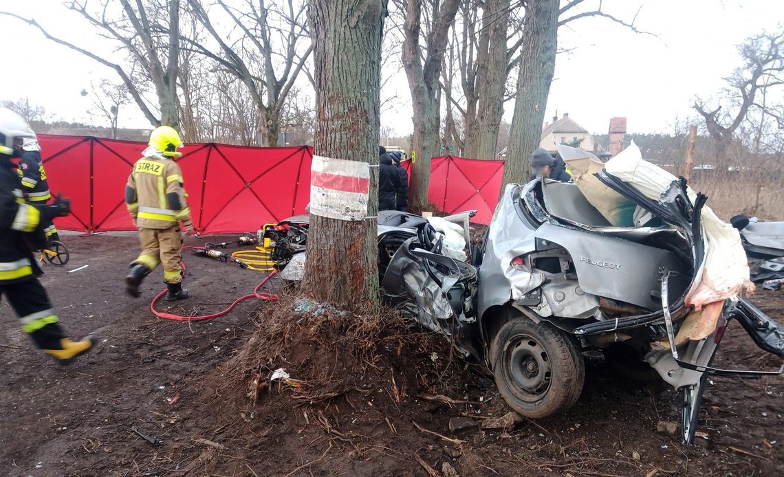 Uderzyli w drzewo. Kierowca i pasażerka ponieśli śmierć na miejscu