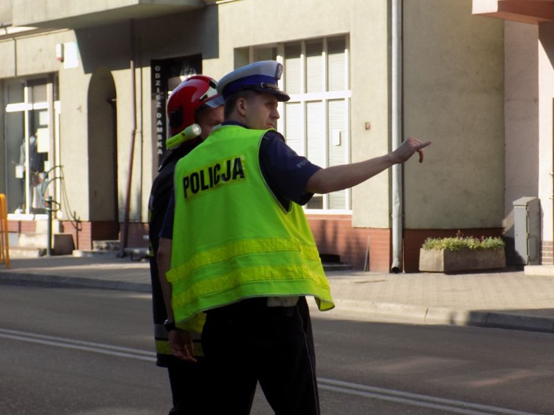 Udzielali pomocy w wypadkach i walczyli z szerszeniami