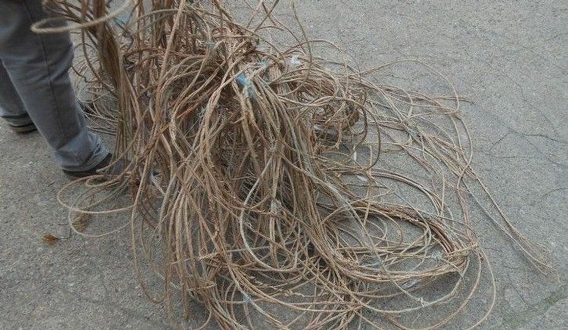 Ukradli 300 metrów kabla