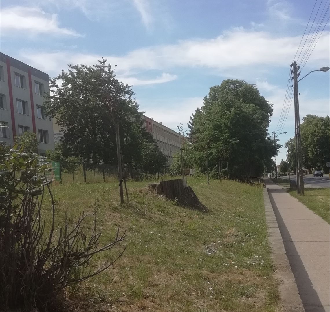 Umierają na naszych oczach Umierają na naszych oczach