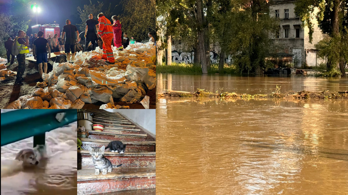 Upały, a potem ulewy i inne gwałtowne zjawiska pogodowe… Będzie gorzej – ostrzegają naukowcy Upały, a potem ulewy i inne gwałtowne zjawiska pogodowe… Będzie gorzej – ostrzegają naukowcy