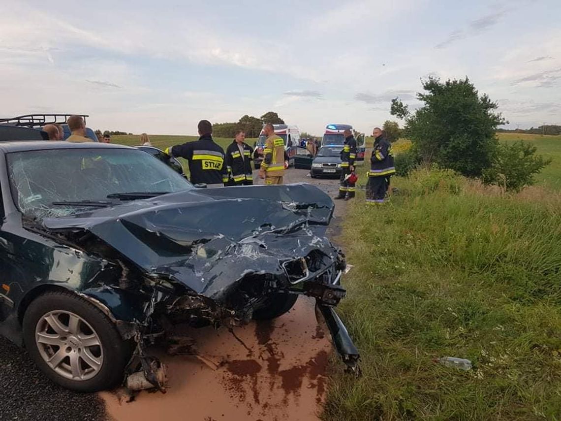 Usuwali rtęć, ratowali ptaki, brali udział w poszukiwaniach i usuwaniu skutków wypadków Usuwali rtęć, ratowali ptaki, brali udział w poszukiwaniach i usuwaniu skutków wypadków