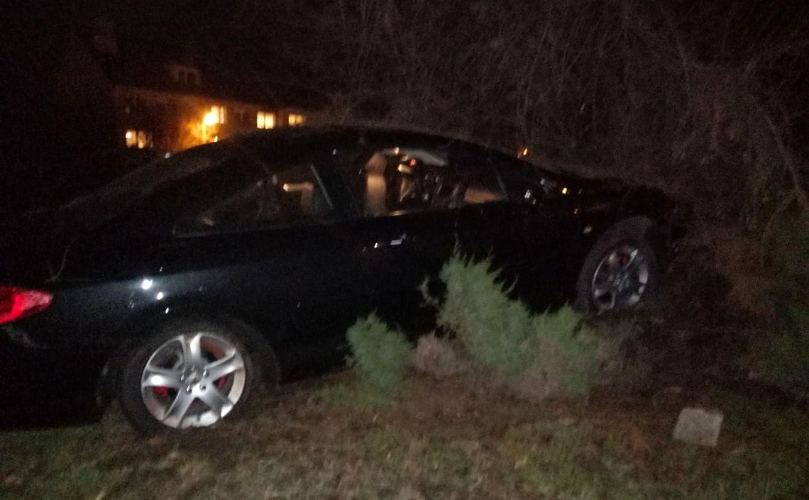 W centrum miasta uderzył w drzewo