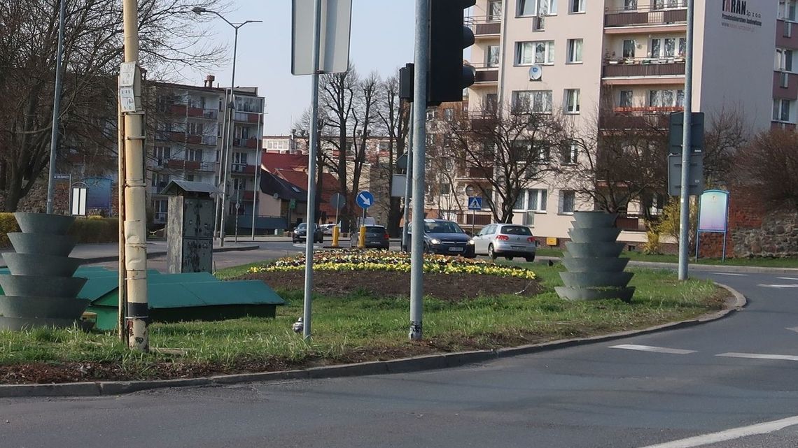 W centrum postawili na bratki